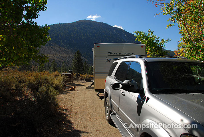 Oh Ridge Campground 062