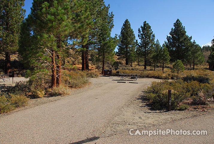 Oh Ridge Campground 104
