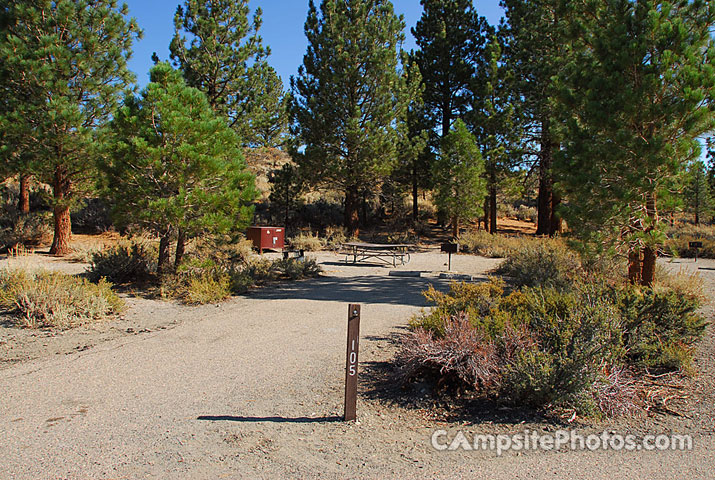 Oh Ridge Campground 105