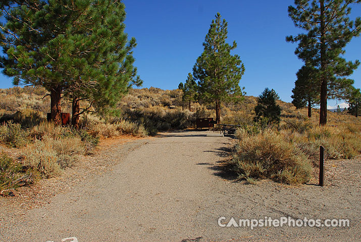Oh Ridge Campground 133