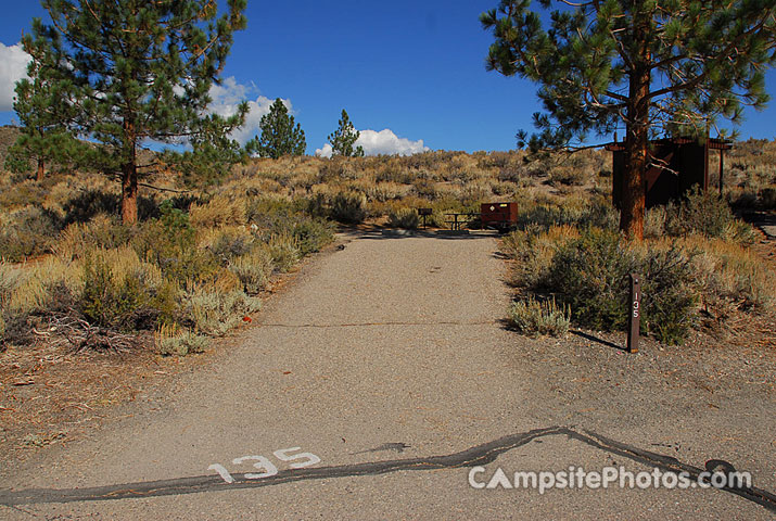Oh Ridge Campground 135