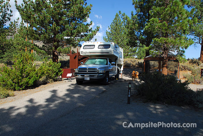 Oh Ridge Campground 148