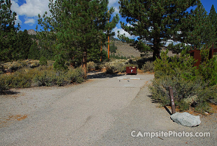 Oh Ridge Campground 149