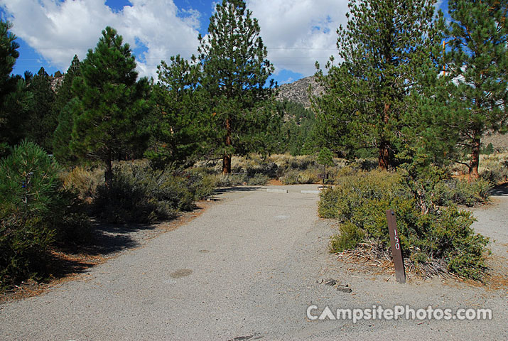Oh Ridge Campground 150
