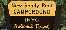 New Shady Rest