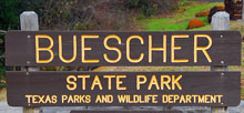Buescher State Park