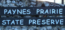 Paynes Prairie State Preserve