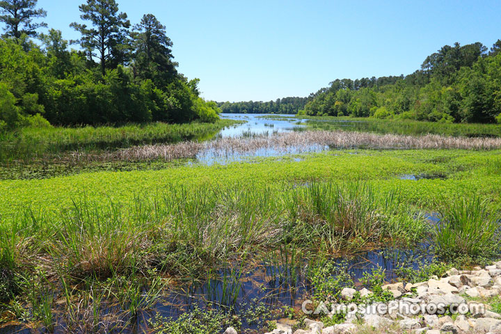 Lake Wateree State Park View
