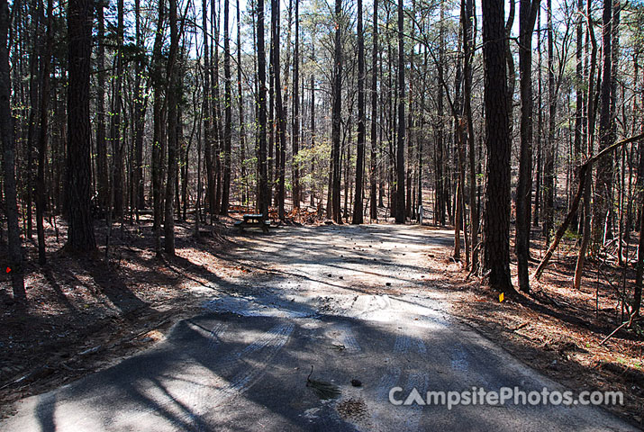 Hamilton Branch State Park 001