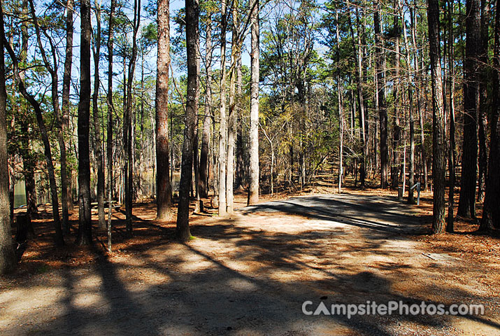 Hamilton Branch State Park 028