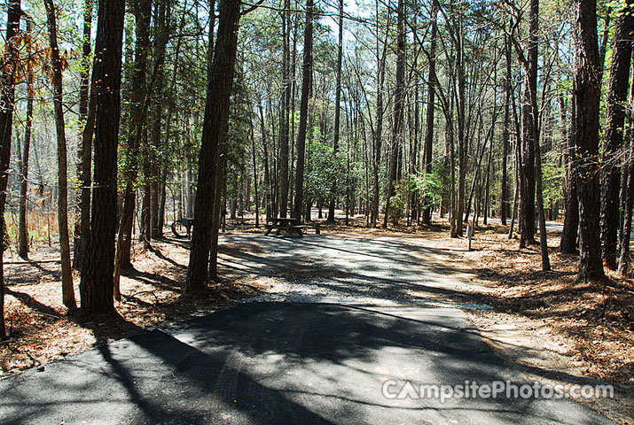 Hamilton Branch State Park 073