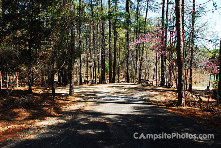 Hamilton Branch State Park 189