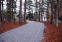 Tugaloo State Park 006