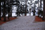 Tugaloo State Park 008