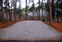 Tugaloo State Park 018