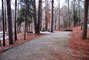 Tugaloo State Park 024