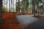 Tugaloo State Park 028