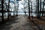 Tugaloo State Park 042