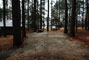 Tugaloo State Park 063