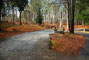 Tugaloo State Park 066