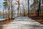 Tugaloo State Park 081