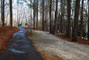 Tugaloo State Park 085