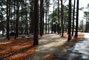 Tugaloo State Park 086