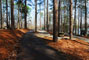 Tugaloo State Park 090