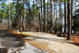 Tugaloo State Park 091