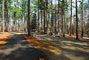 Tugaloo State Park 092