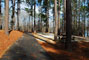 Tugaloo State Park 096