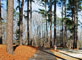 Tugaloo State Park 097