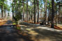 Tugaloo State Park 099
