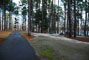 Tugaloo State Park 100