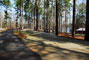 Tugaloo State Park 101