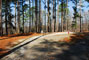Tugaloo State Park 102