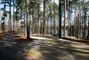 Tugaloo State Park 103