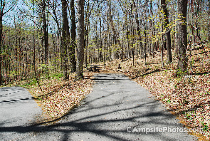 Owens Creek 032