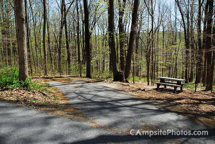 Owens Creek 033