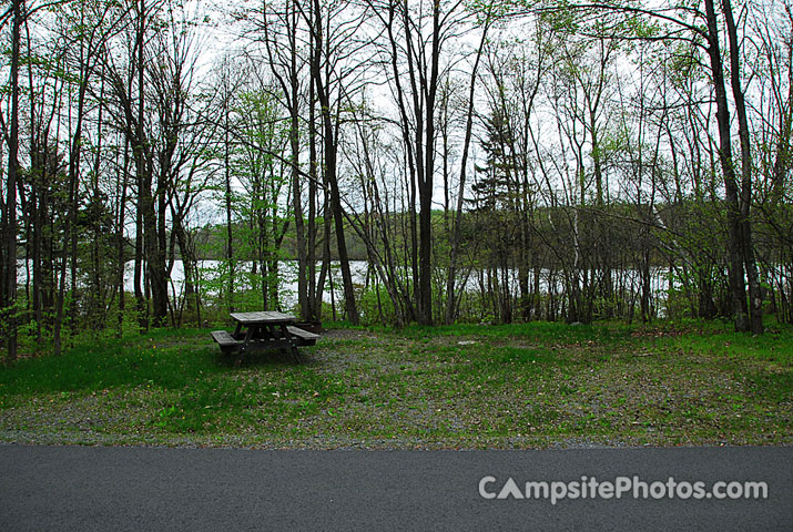 Tobyhanna State Park 097