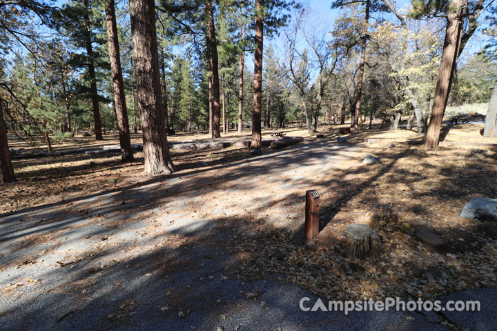 San Gorgonio Campground 030