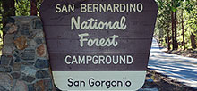 San Bernardino National Forest
