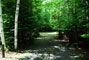 Lily Bay State Park 003