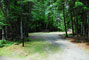 Lily Bay State Park 009