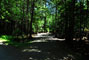 Lily Bay State Park 204