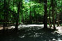 Lily Bay State Park 206