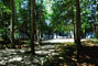 Lily Bay State Park 213