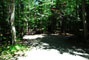 Lily Bay State Park 216