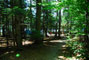Lily Bay State Park 222