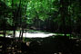 Lily Bay State Park 223